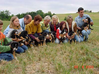 Gruppenfoto mit Hunden
